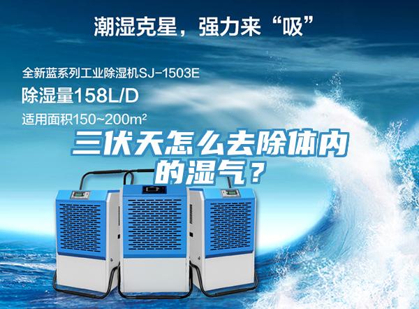 三伏天怎么去除體內(nèi)的濕氣？