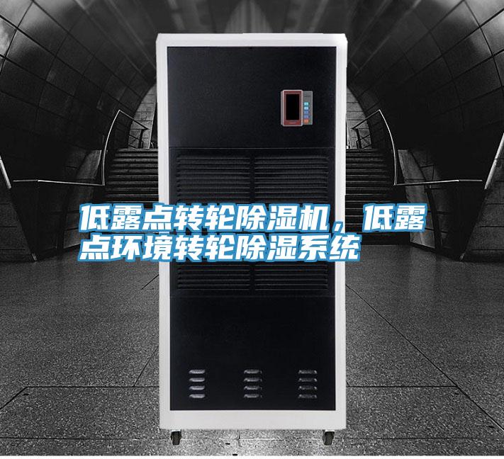 低露點轉輪除濕機，低露點環(huán)境轉輪除濕系統(tǒng)