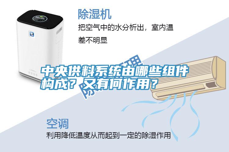 中央供料系統(tǒng)由哪些組件構(gòu)成？又有何作用？
