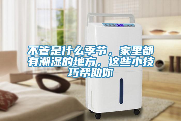不管是什么季節(jié)，家里都有潮濕的地方，這些小技巧幫助你