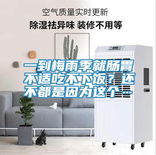 一到梅雨季就腸胃不適吃不下飯？還不都是因為這個…