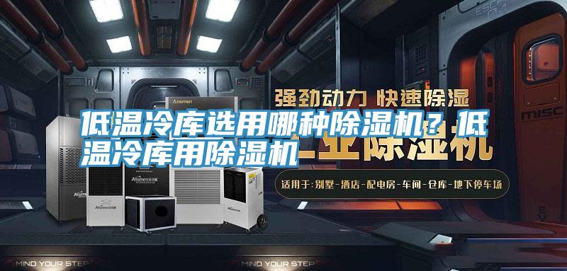 低溫冷庫選用哪種除濕機？低溫冷庫用除濕機
