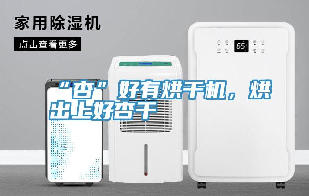 “杏”好有烘干機(jī)，烘出上好杏干