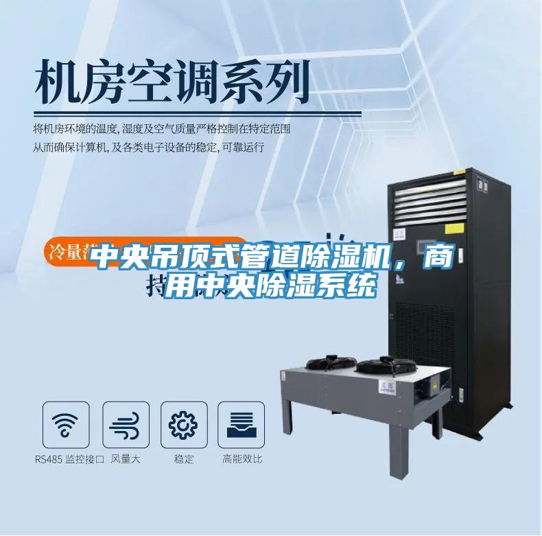 中央吊頂式管道除濕機(jī)，商用中央除濕系統(tǒng)