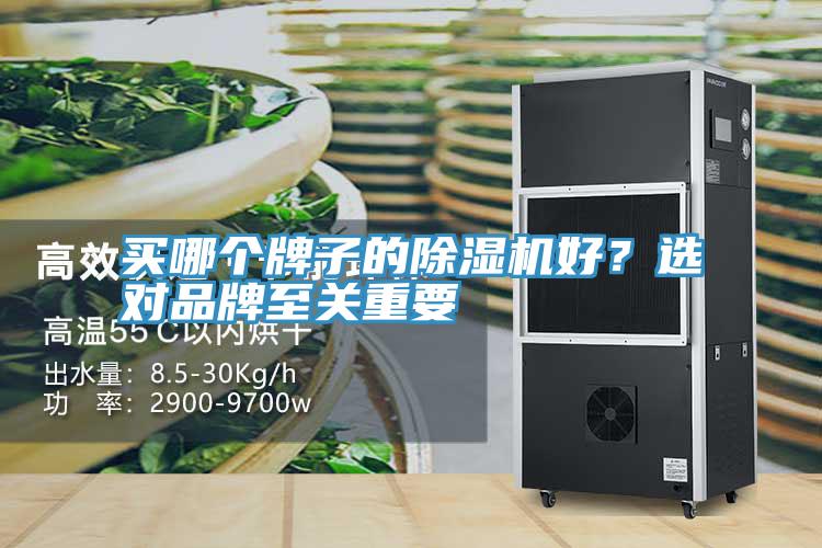 買哪個牌子的除濕機好？選對品牌至關(guān)重要