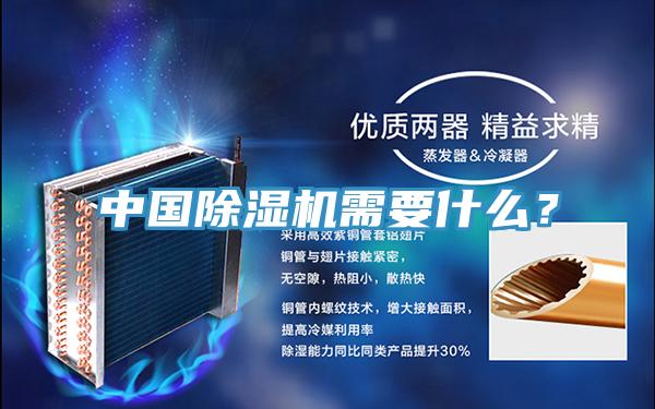 中國除濕機需要什么？
