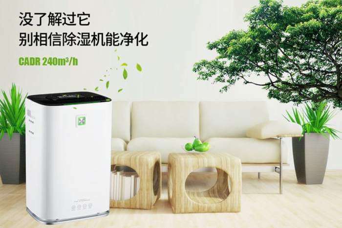 一到回南天狗狗就感冒+皮膚病，怎么辦？