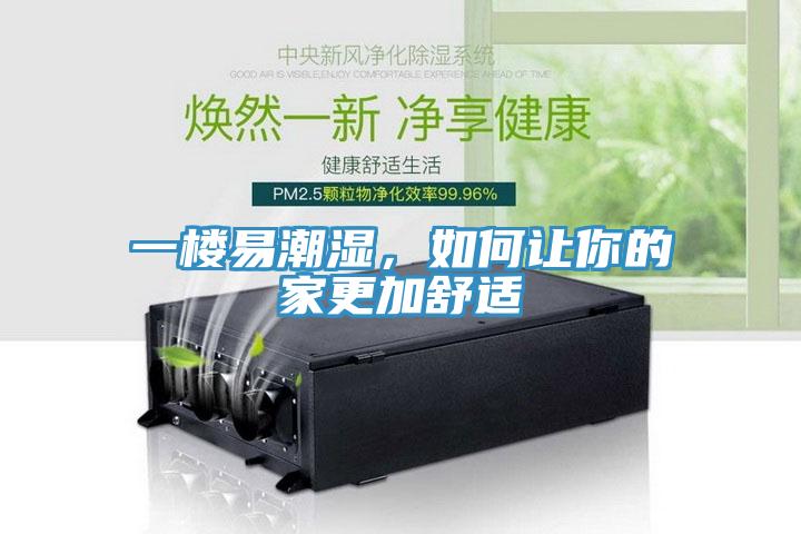 一樓易潮濕，如何讓你的家更加舒適