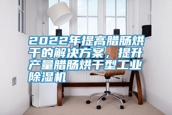 2022年提高臘腸烘干的解決方案，提升產(chǎn)量臘腸烘干型工業(yè)除濕機(jī)
