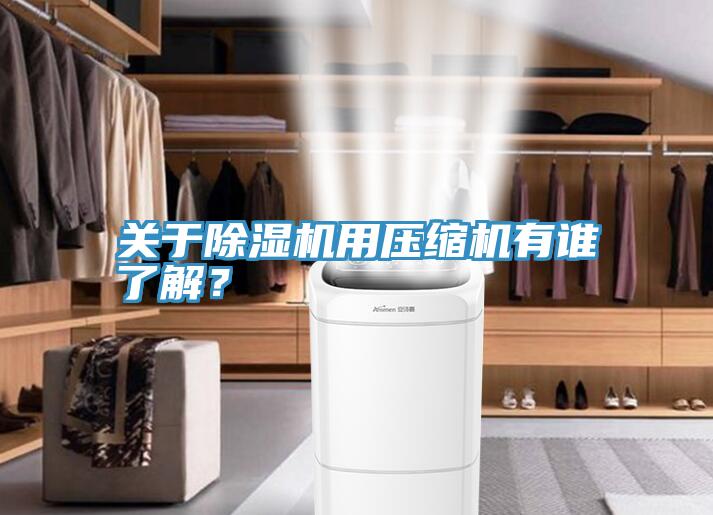 關(guān)于除濕機用壓縮機有誰了解？