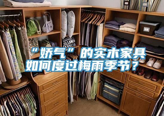“嬌氣”的實(shí)木家具如何度過梅雨季節(jié)？