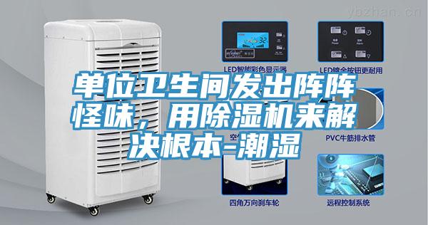 單位衛(wèi)生間發(fā)出陣陣怪味，用除濕機(jī)來解決根本-潮濕