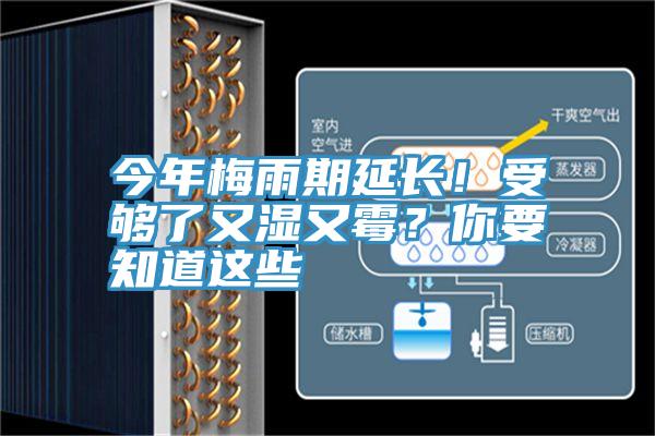今年梅雨期延長！受夠了又濕又霉？你要知道這些
