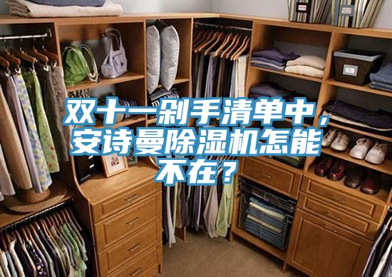 雙十一剁手清單中，安詩曼除濕機(jī)怎能不在？