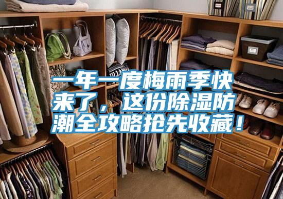 一年一度梅雨季快來了，這份除濕防潮全攻略搶先收藏！