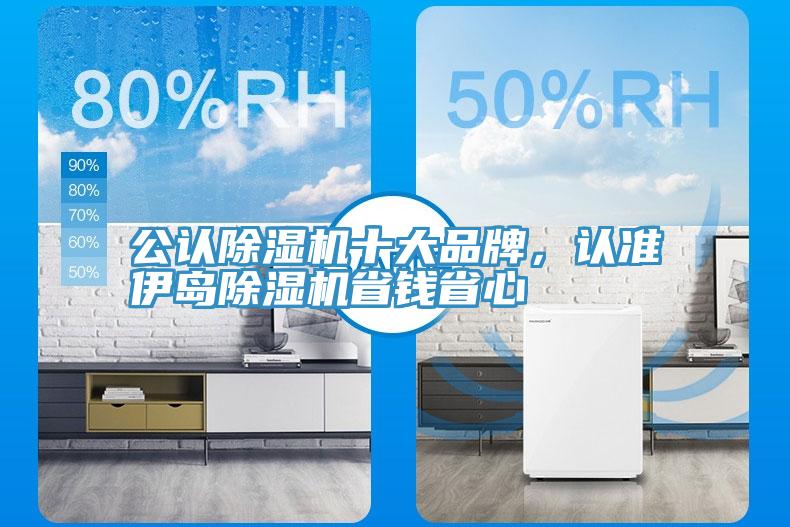 公認(rèn)除濕機(jī)十大品牌，認(rèn)準(zhǔn)伊島除濕機(jī)省錢省心