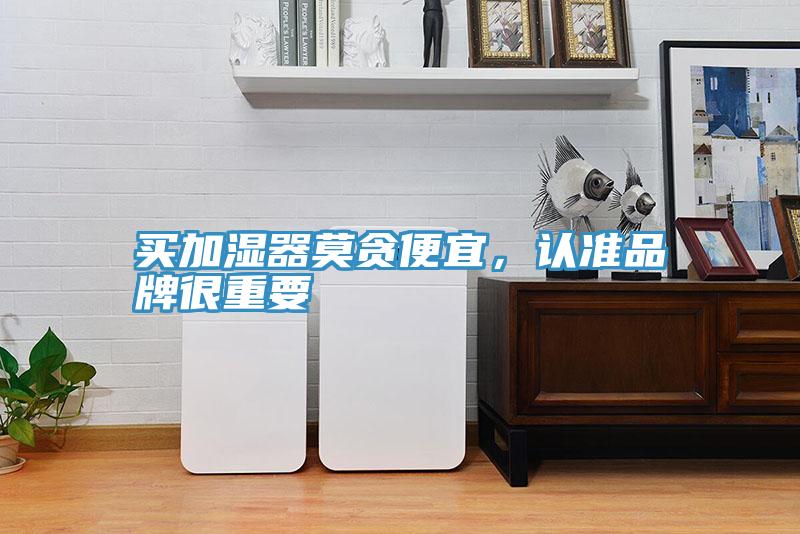 買加濕器莫貪便宜，認準品牌很重要