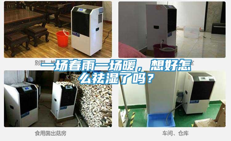 一場春雨一場暖，想好怎么祛濕了嗎？
