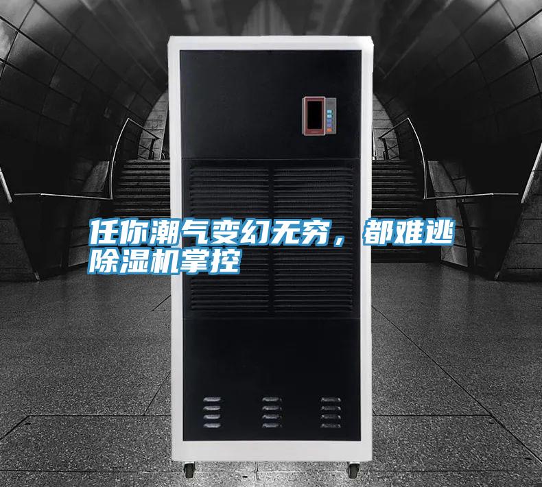 任你潮氣變幻無窮，都難逃除濕機(jī)掌控
