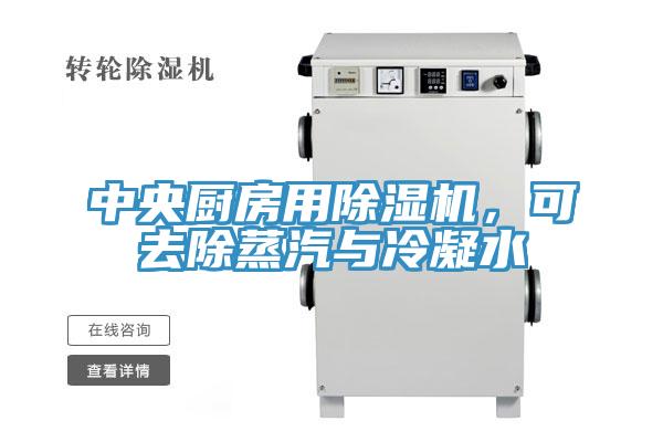 中央廚房用除濕機(jī)，可去除蒸汽與冷凝水