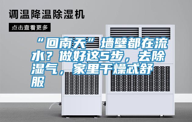 “回南天”墻壁都在流水？做好這5步，去除濕氣，家里干燥忒舒服