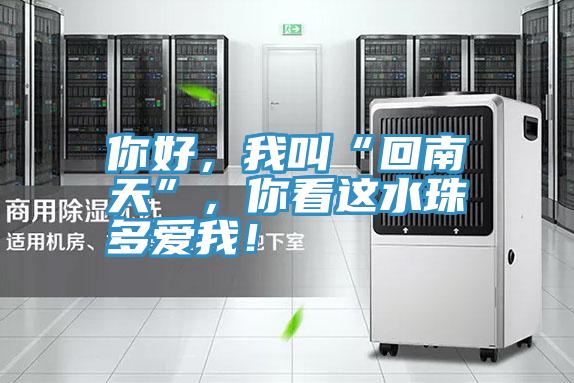 你好，我叫“回南天”，你看這水珠多愛我！