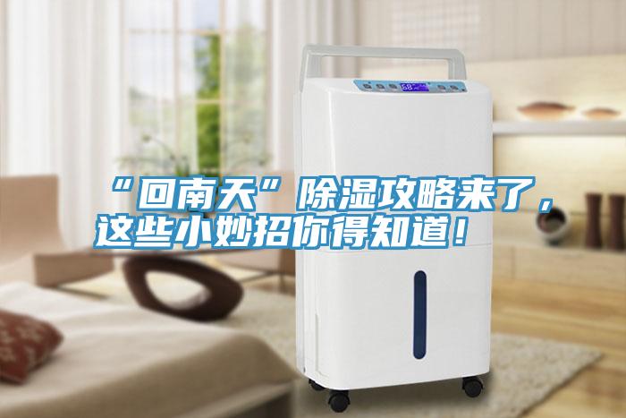“回南天”除濕攻略來(lái)了，這些小妙招你得知道！