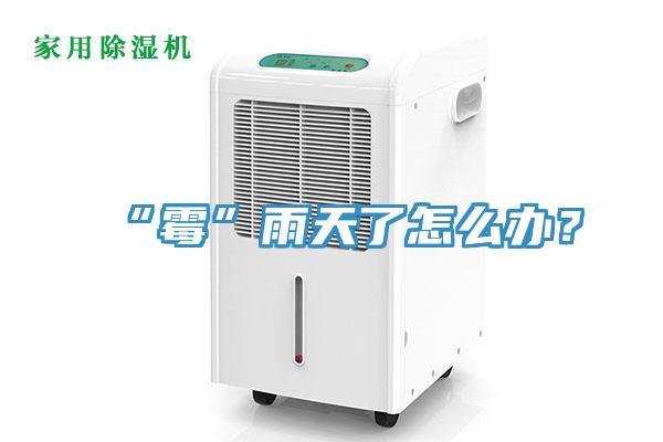 “霉”雨天了怎么辦？