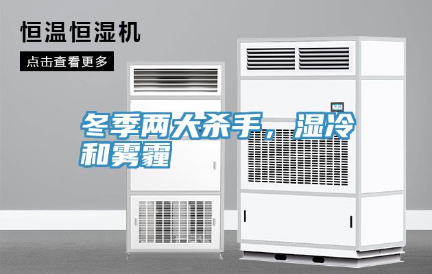 冬季兩大殺手，濕冷和霧霾