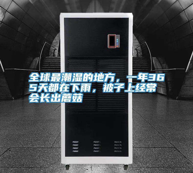 全球最潮濕的地方，一年365天都在下雨，被子上經常會長出蘑菇