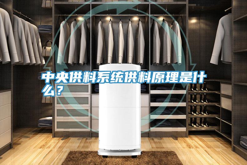 中央供料系統(tǒng)供料原理是什么？