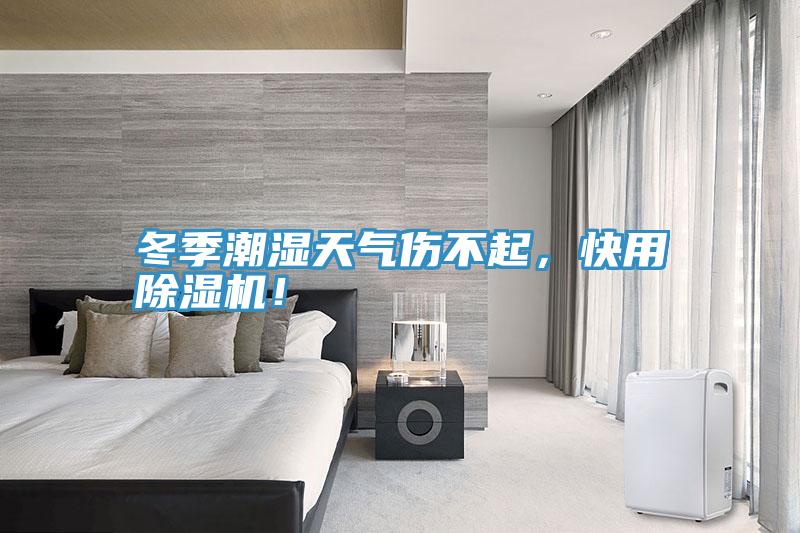 冬季潮濕天氣傷不起，快用除濕機！