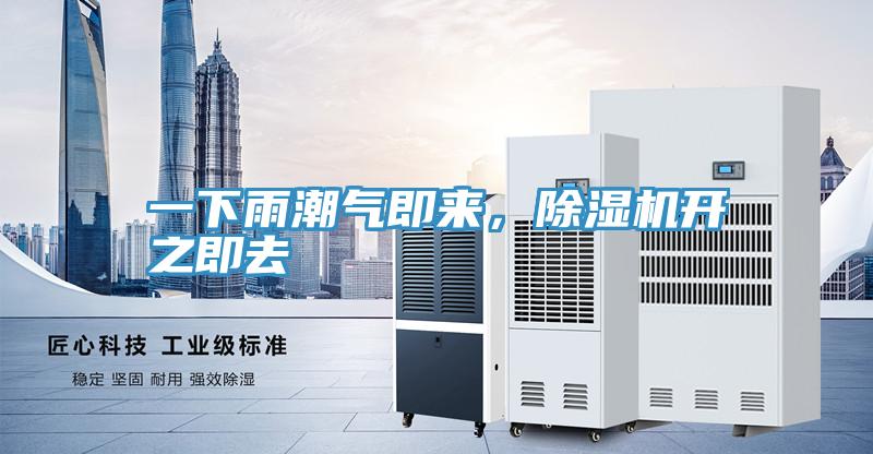 一下雨潮氣即來，除濕機開之即去