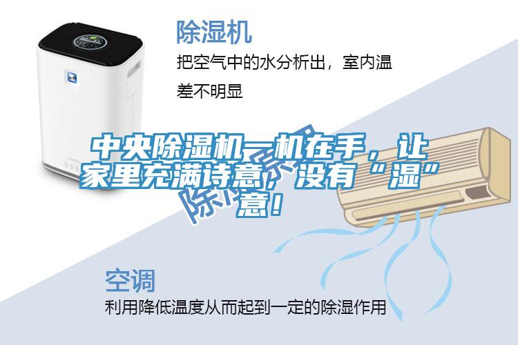 中央除濕機(jī)一機(jī)在手，讓家里充滿詩意，沒有“濕”意！