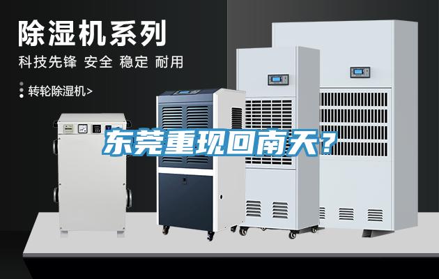 東莞重現(xiàn)回南天？