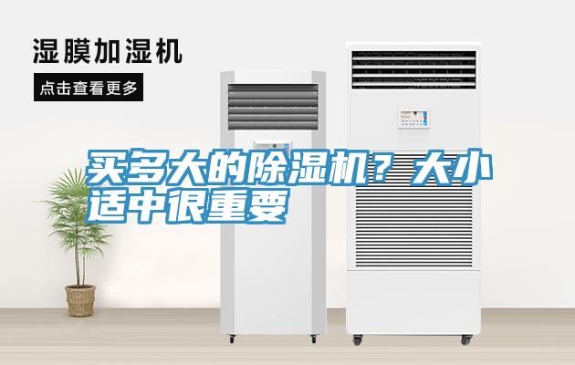 買多大的除濕機？大小適中很重要