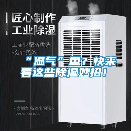 “濕氣”重？快來看這些除濕妙招！