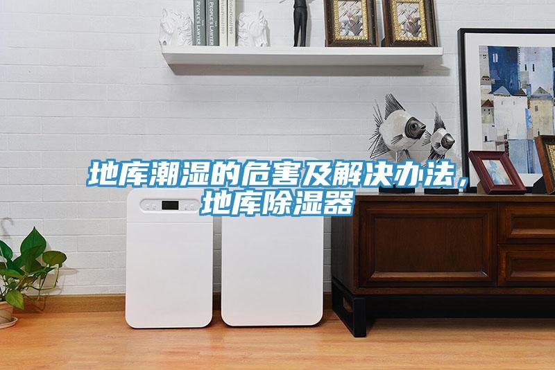 地庫潮濕的危害及解決辦法，地庫除濕器