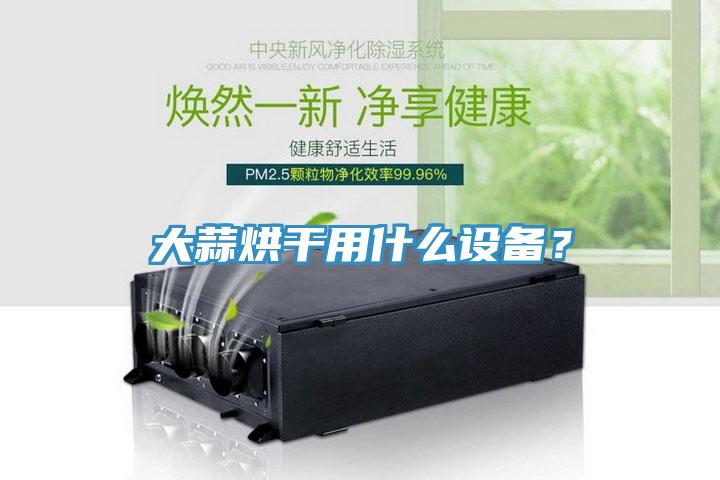 大蒜烘干用什么設備？