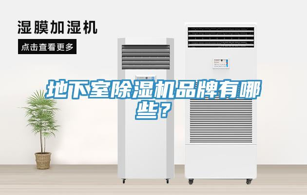 地下室除濕機(jī)品牌有哪些？