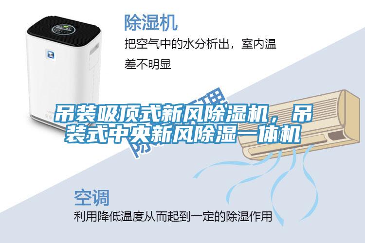 吊裝吸頂式新風除濕機，吊裝式中央新風除濕一體機