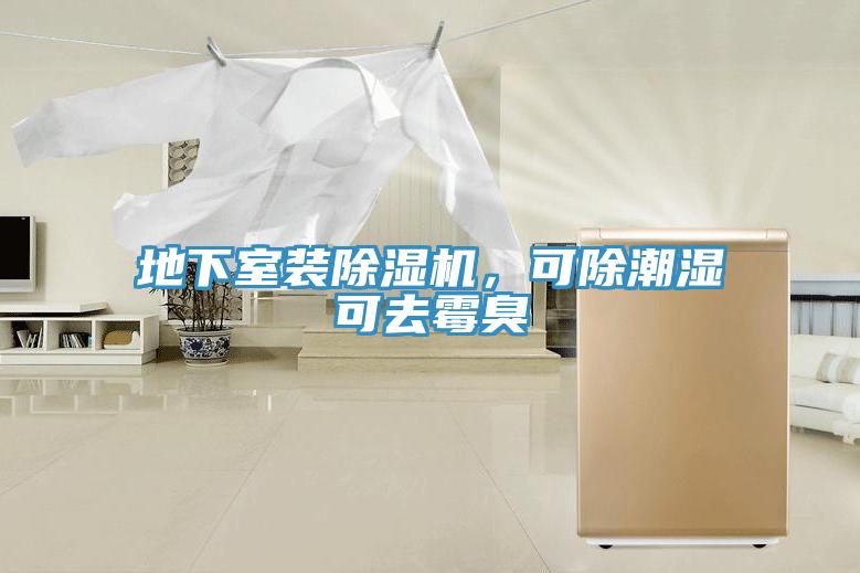 地下室裝除濕機(jī)，可除潮濕可去霉臭