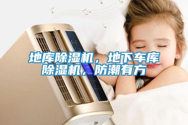 地庫除濕機(jī)，地下車庫除濕機(jī)，防潮有方