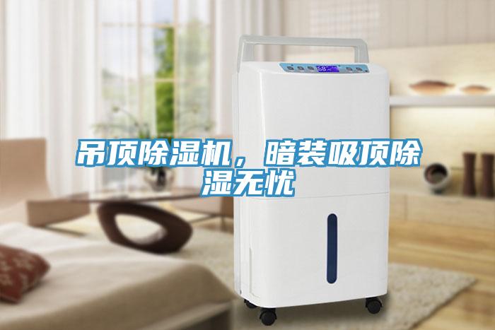 吊頂除濕機(jī)，暗裝吸頂除濕無(wú)憂