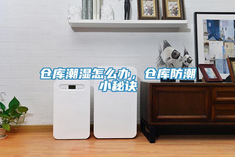 倉庫潮濕怎么辦，倉庫防潮小秘訣