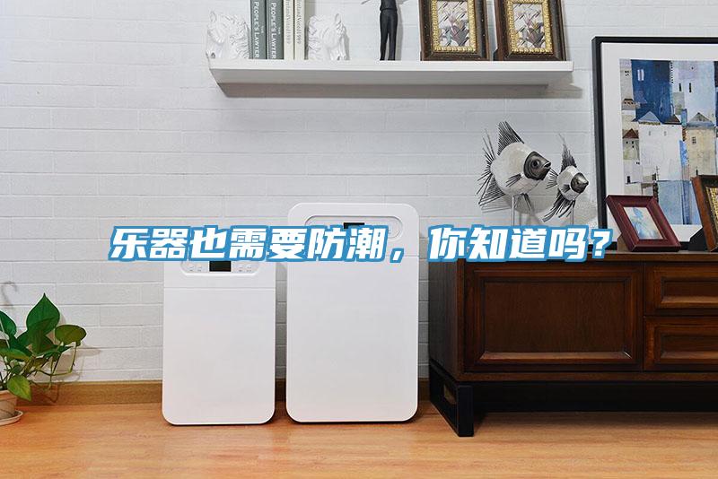 樂器也需要防潮，你知道嗎？