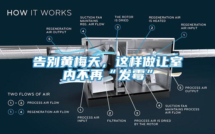 告別黃梅天，這樣做讓室內(nèi)不再“發(fā)霉”