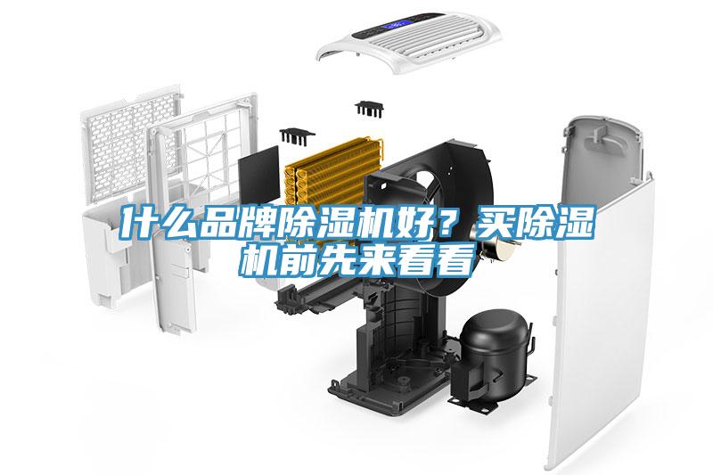 什么品牌除濕機(jī)好？買除濕機(jī)前先來看看