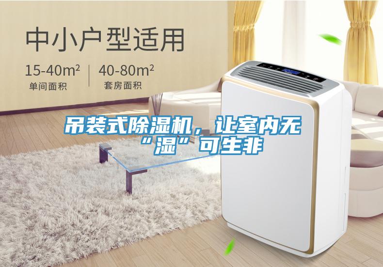 吊裝式除濕機，讓室內無“濕”可生非