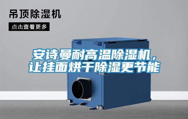 安詩曼耐高溫除濕機，讓掛面烘干除濕更節(jié)能